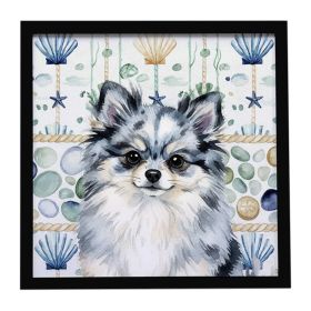 Blue Merle Pomeranian Coastal Sea Glass Framed Metal Print Bathroom, Kitchen, Office, Home Decor Wall Art Ready to Hang, Square, 8X8